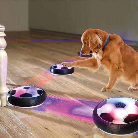 Elektrisches Interaktives Smart Ball Hundespielzeug LED Lichter